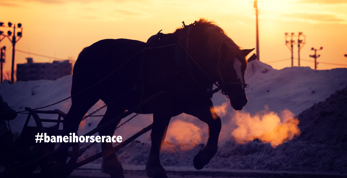 #baneihorserace